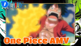 Because They Are My Pals | One Piece_1