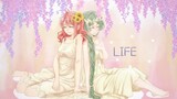 【Xia Mu & シズミ】LIFE 【Beautiful Healing】