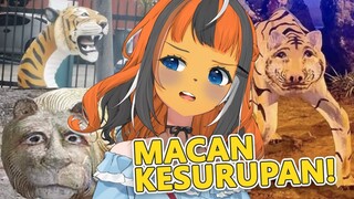 MACAN-MACAN DI INDONESIA