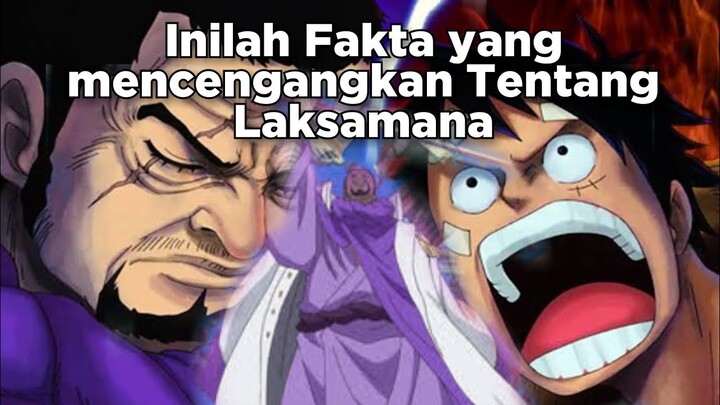 5 FAKTA YANG MENCENGANGKAN TENTANG LAKSAMANA FUJITORA ONE PIECE!