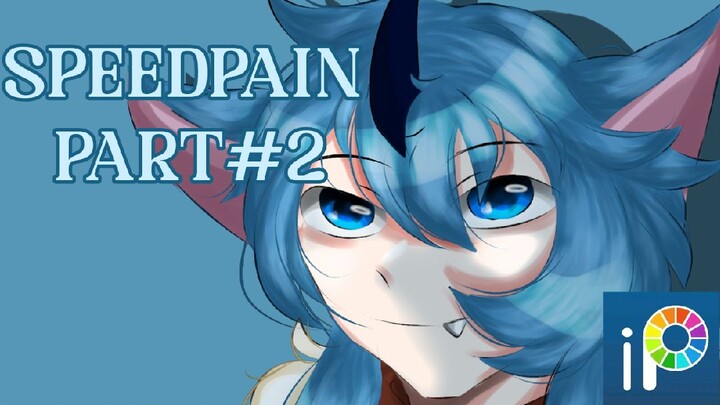 SPEEDPAIN IBISPAINX #part2