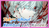 [Tokyo Ghoul] Hideyoshi: Kembali Lah, Kaneki