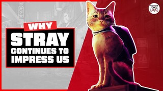 Why Stray Continues To Impress Us | Gaming Instincts