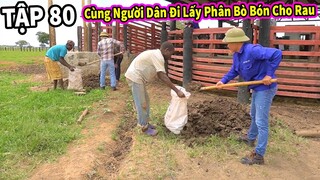 (Tập 80 ) Nông Nghiệp VIỆT NAM ở Châu Phi || Team Cùng Người Dân Đi Kiếm Phân Bò Để Bón Cho Vườn Rau