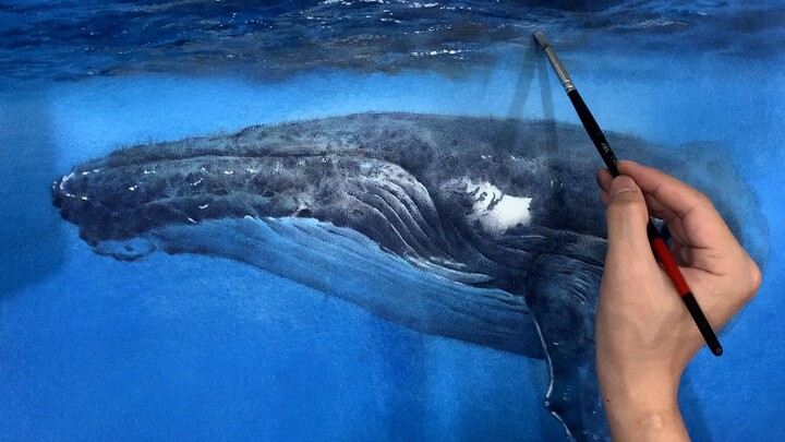 【Water color】Drawing process of a whale