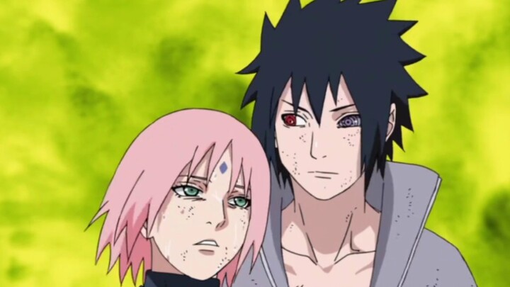 [Sasuke / Sakura / Một năm một thời] Tôi là Haruno Sakura, yêu thích của tôi là - Sasuke