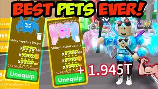 SUPER OP PET 2 DAYS AFTER THE UPDATE IN SABER SIMULATOR