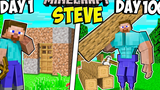 ฉันรอดชีวิต 100 วันในฐานะ STEVE ใน Minecraft