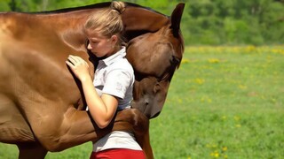 These Animals Reunited With Owners After Years !