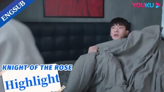 CEO panicked to know he spent a night with his assistant after drinking | Knight of the Rose | YOUKU