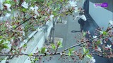 Kamen Rider EX - AID eps 32 sub indo