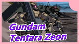 [Gundam UC] Tentara Zeon / Pertunjukan Kekuatan Seri Harimau MAD×MS-07/ Harimau/Spesial/Terbang