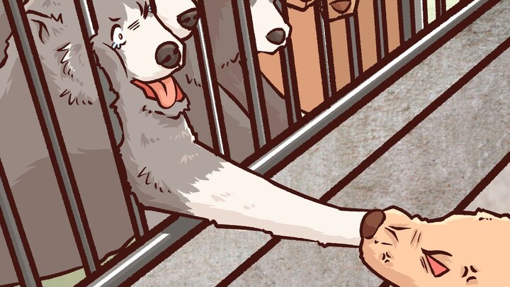 The dogs were arguing over the pole, and the husky reached out and was immediately bitten