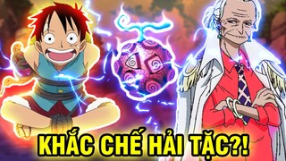 CHỈ DÀNH ĐỂ BẮT HẢI TẶC?! | TRÁI ÁC QUỶ NÊN DÀNH CHO HẢI QUÂN TRONG ONE PIECE