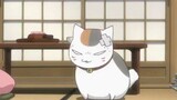Natsume praised the black cat as cute, Sansan was very angry, he must be jealous