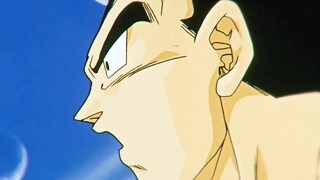 Vegeta: Saya berterima kasih