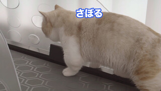 It's fat for a reason