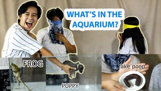 WHAT'S IN THE AQUARIUM?