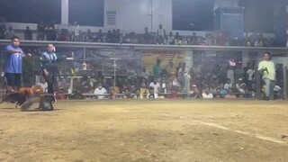 4th fight sa pasay, lost