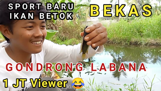 MANCING IKAN BETOK/BETIK PALING DICARI