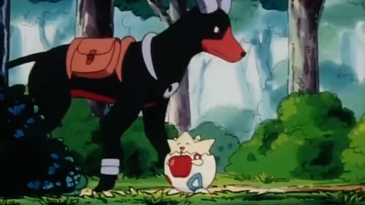 Đó là Togepi mà tất cả Pokémon đều yêu thích~