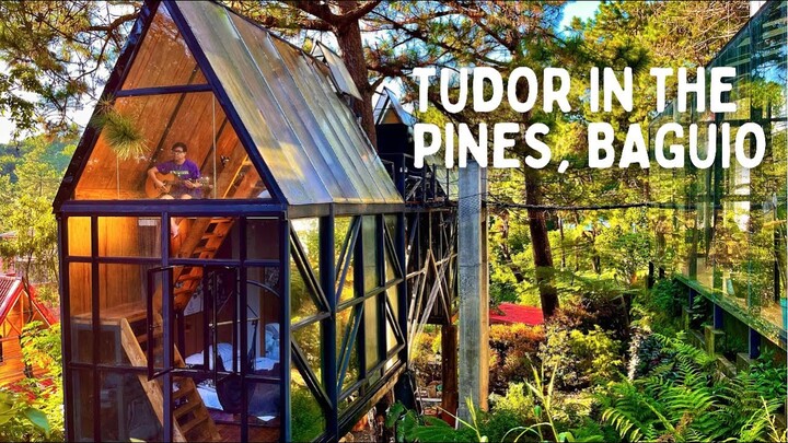 Tudor in the Pines l Famous Glass Treehouse in Baguio City