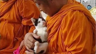 Having the love of a cat changes your world | Cute Cat And Owner