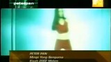 Peterpan - Mimpi Yang Sempurna (MTV Non Stop Hits 2002)