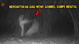 🔴 478- MERONTOKAN GIGI WEWE GOMBEL SAMPE MENTAL | UJI NYALI