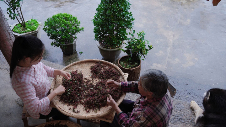 Gia vị bốn mùa (Tam): Hoa tiêu linh hồn của những món cay