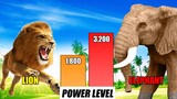 Wild Animals Tournament Arena Power Comparison | SPORE