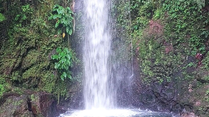 nice falls