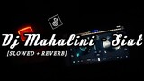 DJ MAHALINI SIAL [SLOWED + REVERB] 🎧