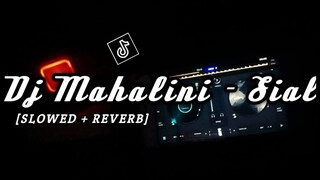 DJ MAHALINI SIAL [SLOWED + REVERB] 🎧