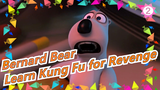 Bernard Bear -S1 Learn Kung Fu for Revenge!_B
