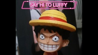 Cute luffy😂