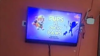 Paw patrol Musim 8 Episode 13 Bahasa Indonesia Nickelodeon Tv versi tv