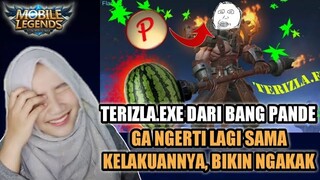 KELAKUAN HERO TUKANG SAUR PASTI BIKIN KALIAN NGAKAK WKWK | Vira Vioura