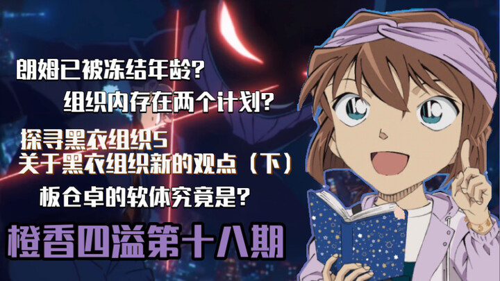 【橙香四溢】朗姆已被冻结年龄？组织内存在两个计划？板仓卓的软体究竟是？（探寻黑衣组织5）