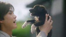 The Cloud Embracing the Moon (2024) จันทร์พรางใจ EP 12 [ซับไทย]