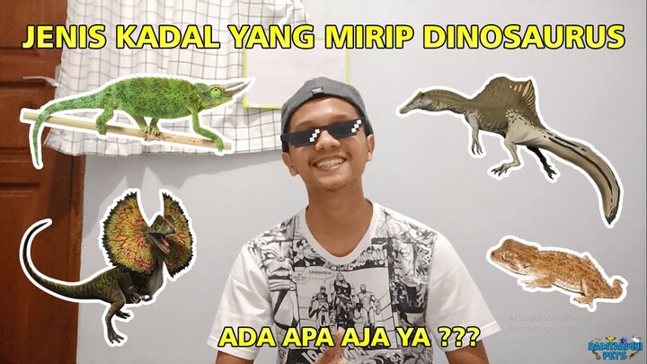 Kadal-kadal ini Mirip Banget sama Dinosaurus !! | These lizards looks like dinosaurs !! 🦖🦕