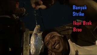 Mancing Malam Hari di Sungai Banyak Strike Broo