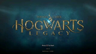 Hogwarts Legacy