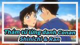 [Thám tử lừng danh Conan] Shinichi & Ran / Anh muốn gặp em