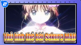 [Thủ lĩnh thẻ bài Sakura/Hoành tráng] Ôn lại Anime Nóng bỏng:Thủ lĩnh thẻ bài Sakura_2