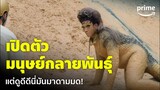Comedy Island (ภารกิจฮาแหกเกาะ) [EP.3] - คุ้นๆ นะ เปิดตัวมนุษย์กลายพันธุ์หมายเลข 2 | Prime Thailand