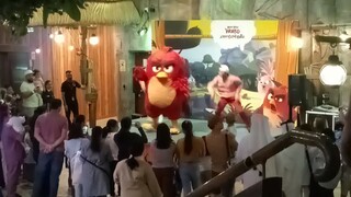 Angry Birds Show