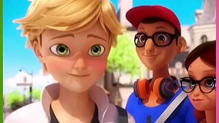 Miraculous ladybug and catnoir (Adrien & Marinette)