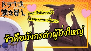 ข้าคือมังกรดำผู้ยิ่งใหญ่ - Dragon Ie wo Kau! หาบ้านให้มังกรที!  พากย์ไทย