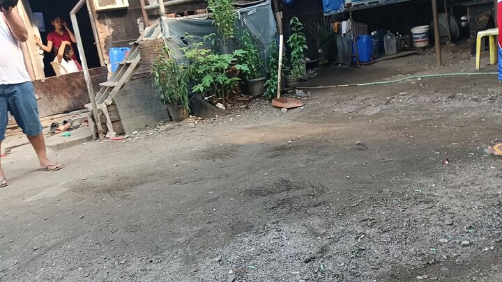 boss Jovi lng sakalam